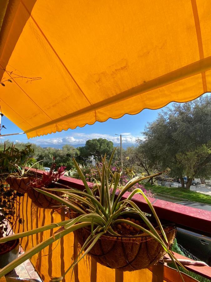 Hotel Rosie'S Club Ajaccio  Esterno foto